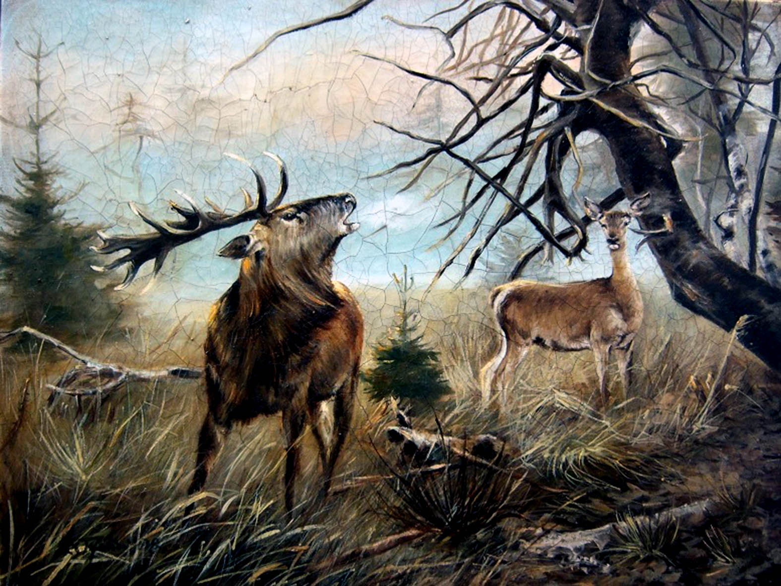 Ryszard Tyszkiewicz obraz "Lesna polana", 2009 r., olej, płótno, 60x80 cm.